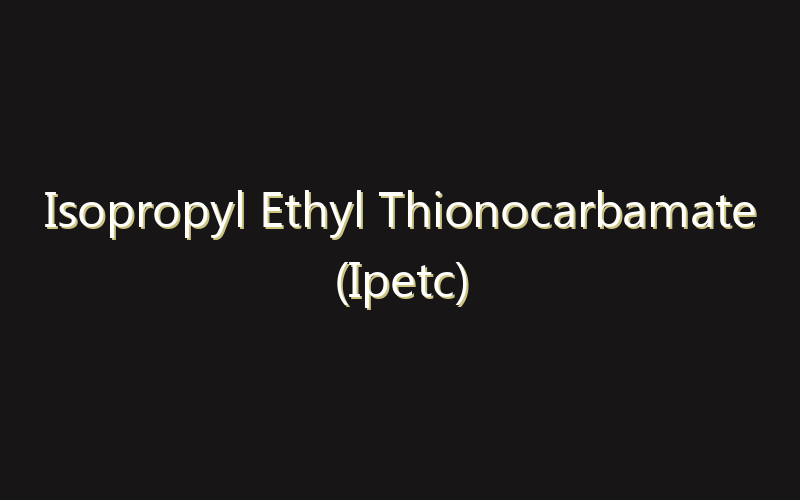 Isopropyl Ethyl Thionocarbamate (Ipetc) Market:Size, Share, Scope And Forecast 2035