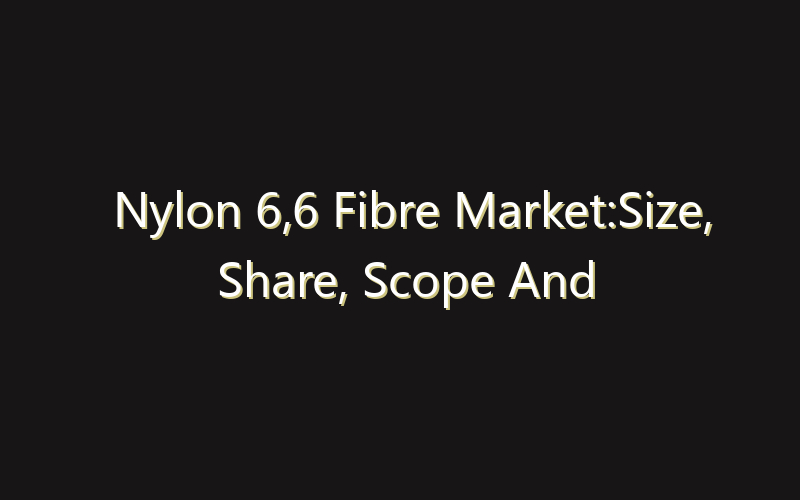 Nylon 6,6 Fibre Market:Size, Share, Scope And Forecast 2035