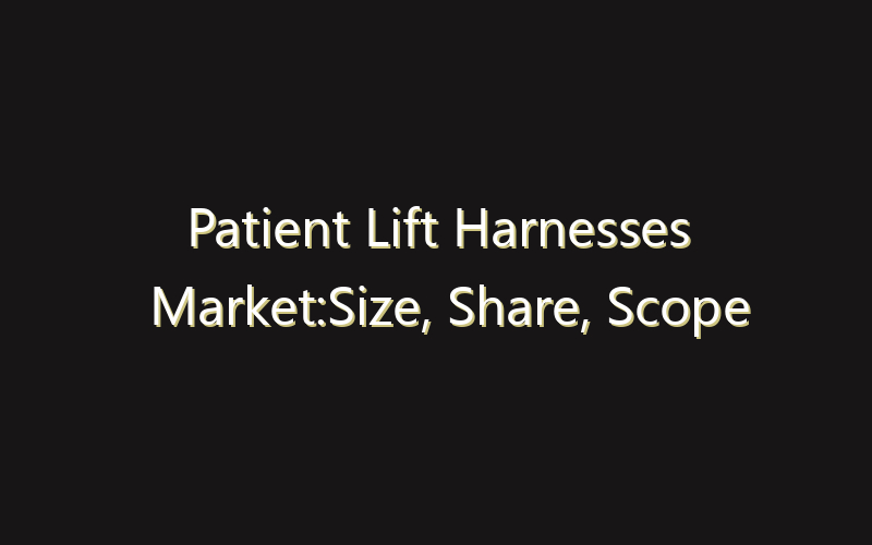 Patient Lift Harnesses Market:Size, Share, Scope And Forecast 2035