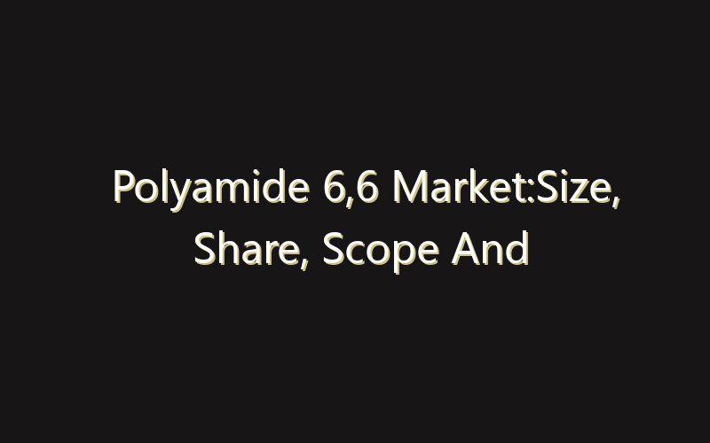 Polyamide 6,6 Market:Size, Share, Scope And Forecast 2035